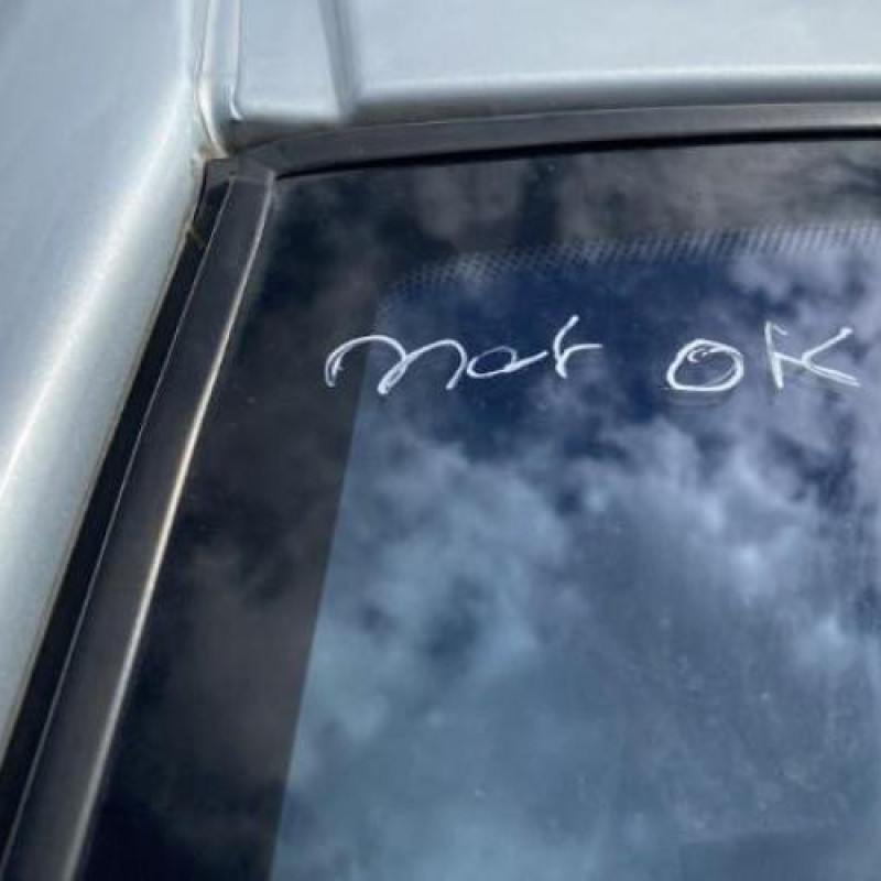 Tambour arriere droit CITROEN XSARA PICASSO Photo n°13