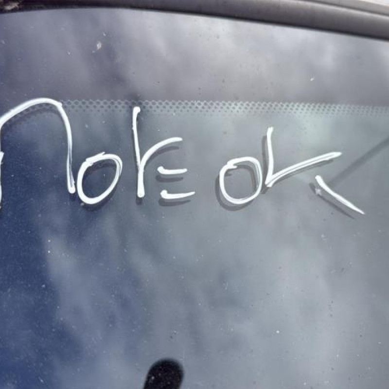 Tambour arriere droit PEUGEOT PARTNER 1 Photo n°5