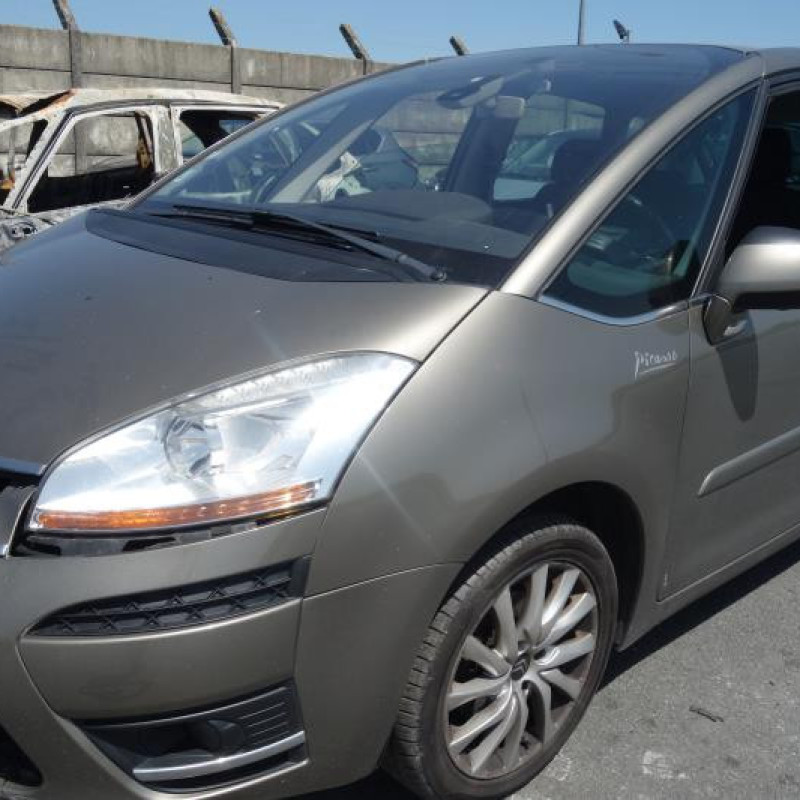 Porte arriere gauche CITROEN C4 PICASSO 1 Photo n°6