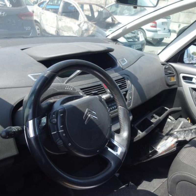 Porte arriere gauche CITROEN C4 PICASSO 1 Photo n°10