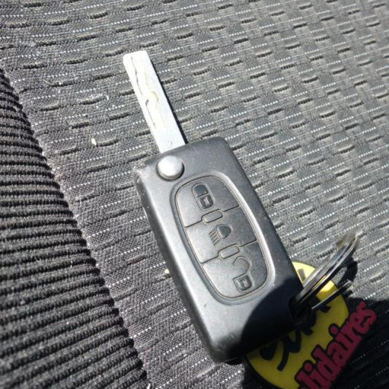 Porte arriere gauche CITROEN C4 PICASSO 1 Photo n°13