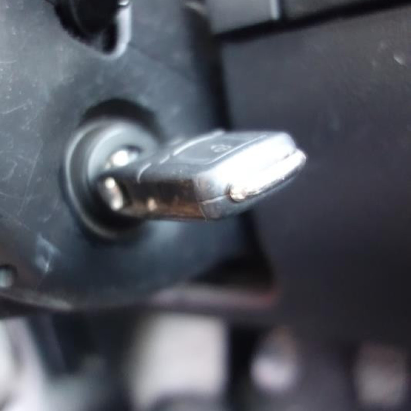 Porte arriere gauche VOLKSWAGEN GOLF 4 Photo n°10