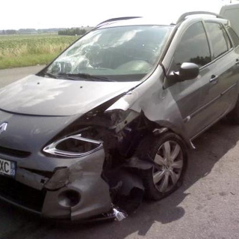Porte arriere gauche RENAULT CLIO 3 Photo n°3