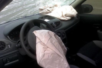 Porte arriere gauche RENAULT CLIO 3