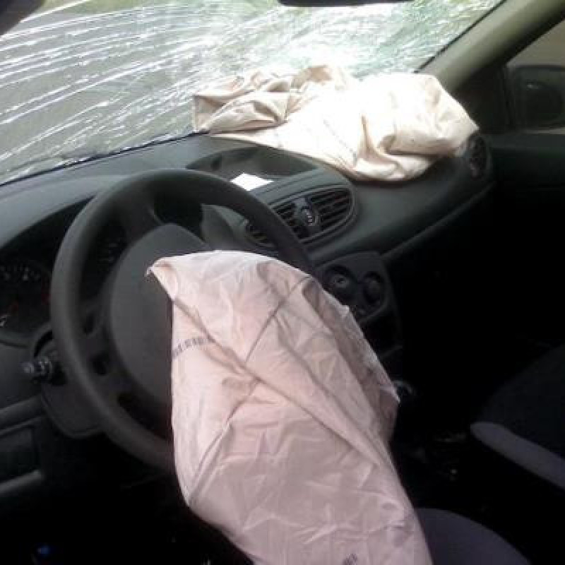 Porte arriere gauche RENAULT CLIO 3 Photo n°4