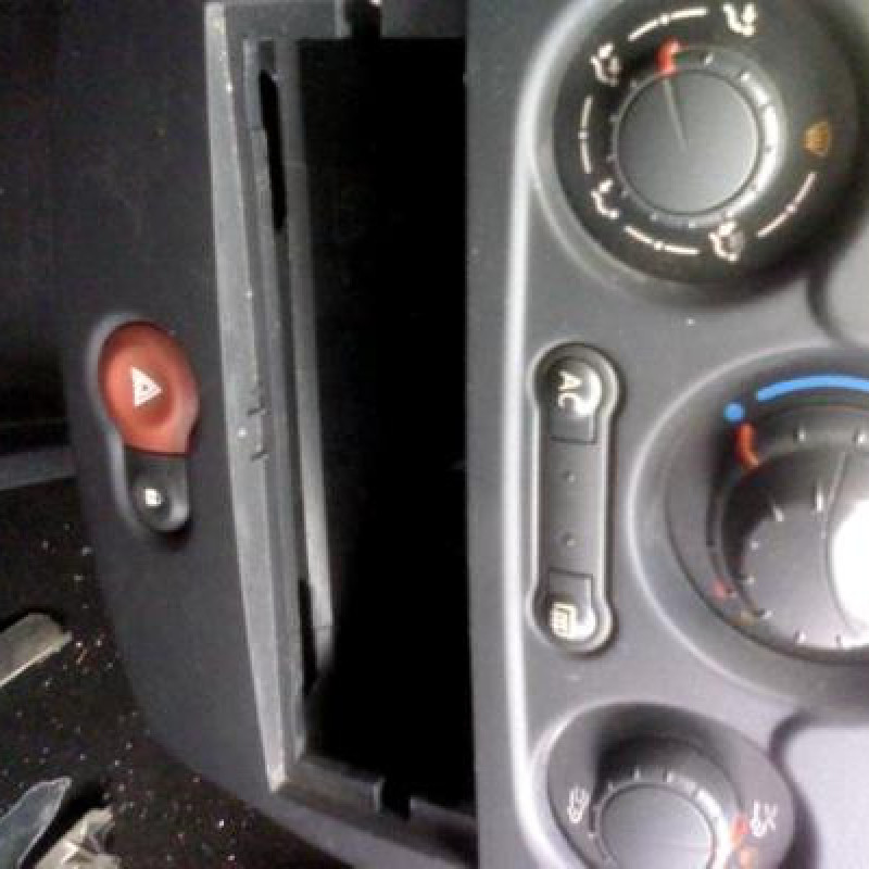 Porte arriere gauche RENAULT CLIO 3 Photo n°5