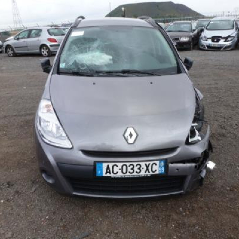 Porte arriere gauche RENAULT CLIO 3 Photo n°6