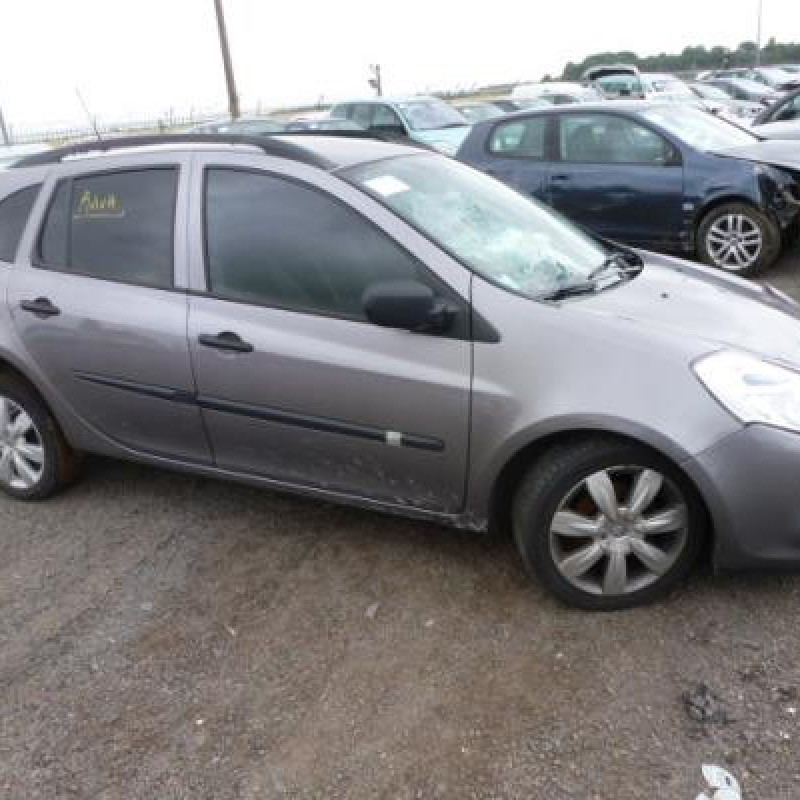 Porte arriere gauche RENAULT CLIO 3 Photo n°7