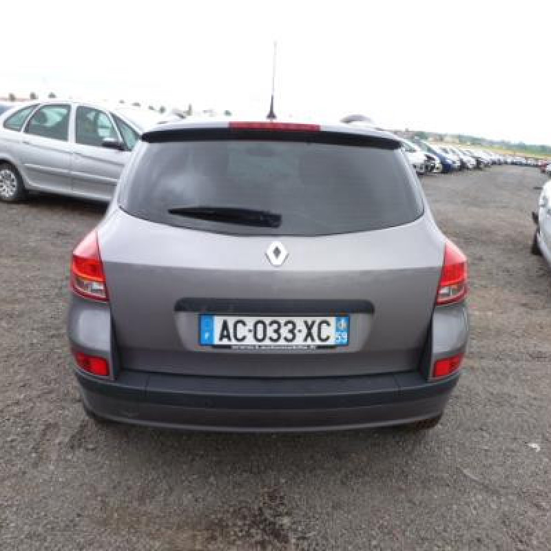 Porte arriere gauche RENAULT CLIO 3 Photo n°8