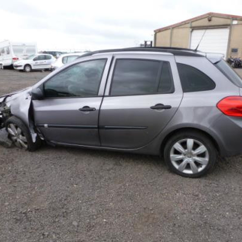 Porte arriere gauche RENAULT CLIO 3 Photo n°9