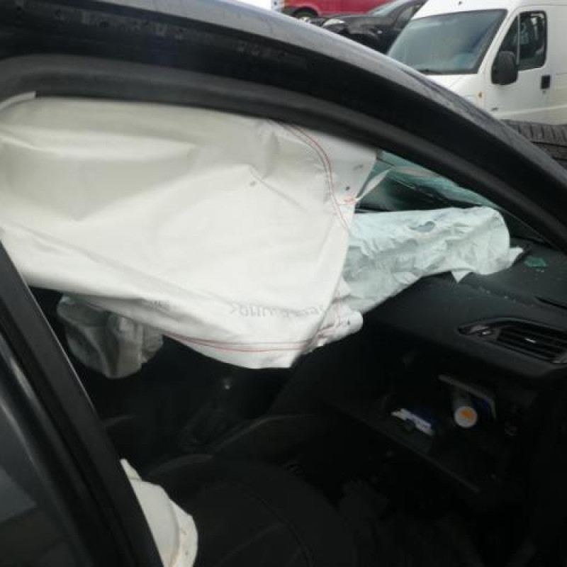 Malle/Hayon arriere PEUGEOT 208 1 Photo n°5