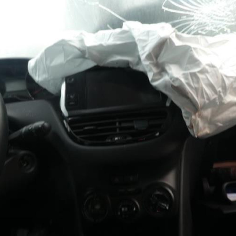 Malle/Hayon arriere PEUGEOT 208 1 Photo n°8