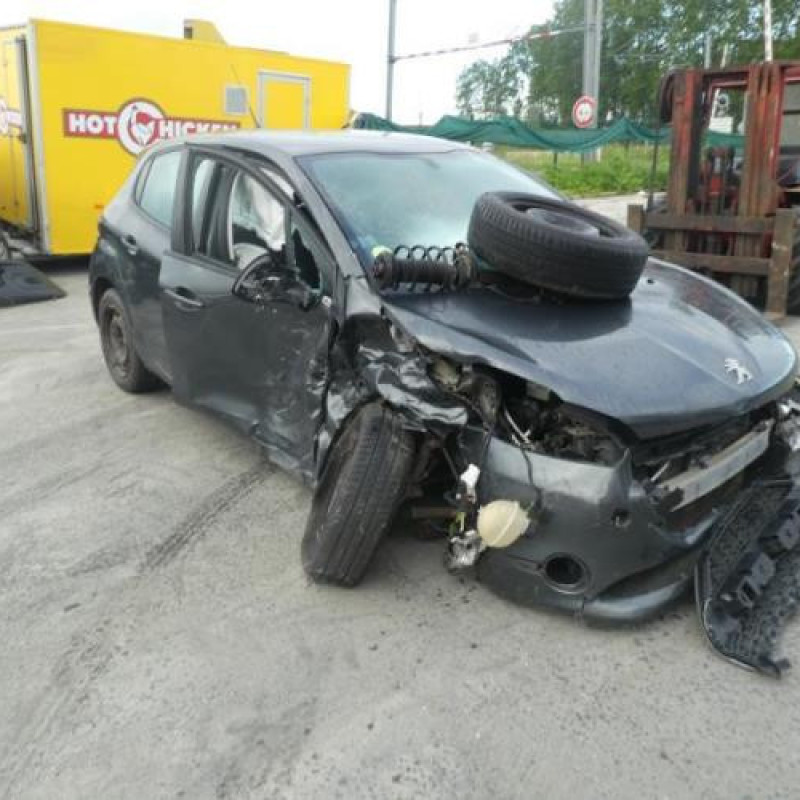 Malle/Hayon arriere PEUGEOT 208 1 Photo n°10