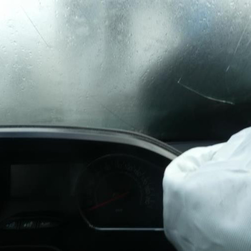 Malle/Hayon arriere PEUGEOT 208 1 Photo n°11