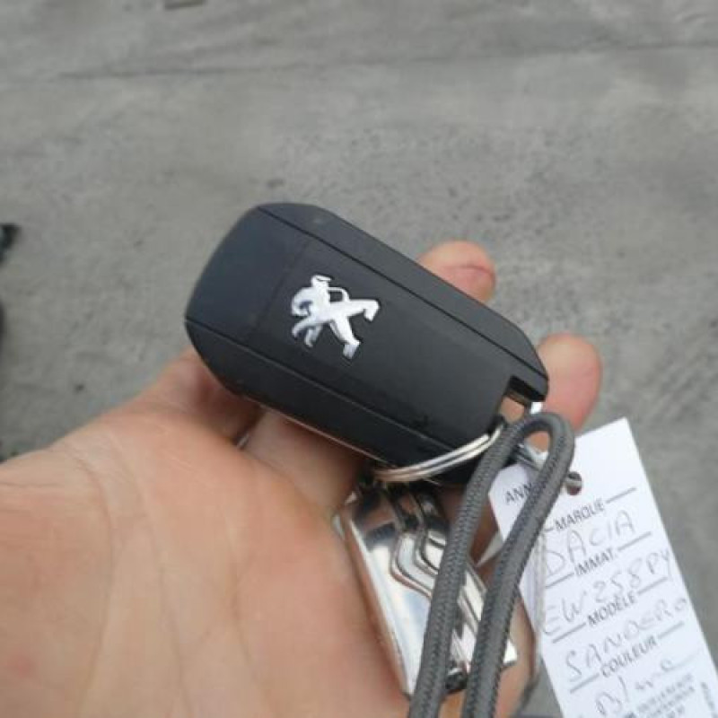 Malle/Hayon arriere PEUGEOT 208 1 Photo n°12