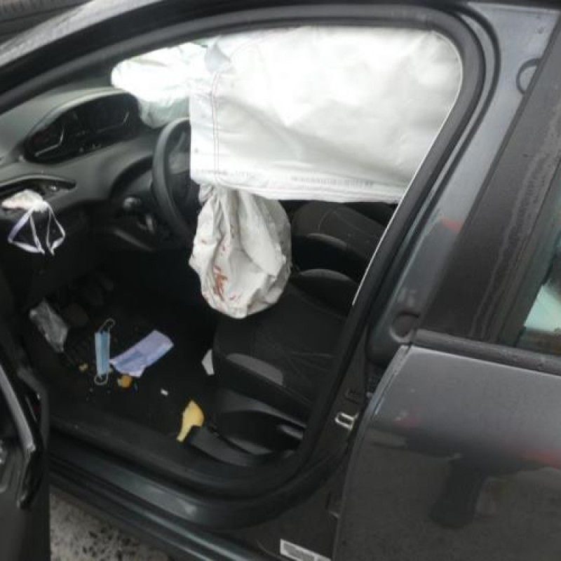 Malle/Hayon arriere PEUGEOT 208 1 Photo n°14