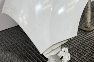 Aile avant gauche RENAULT KANGOO 1