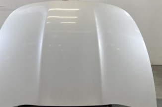 Capot CITROEN DS5 Photo n°1