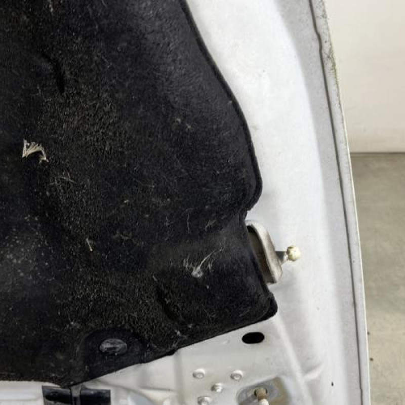 Capot CITROEN DS5 Photo n°9