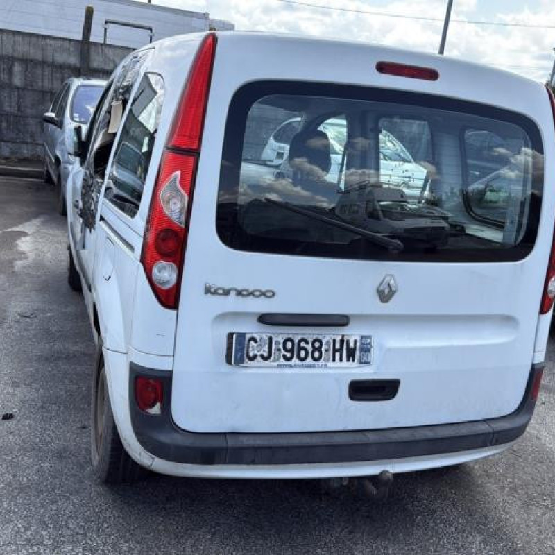 Calandre RENAULT KANGOO 2 Photo n°9