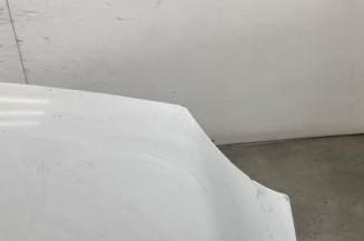 Capot RENAULT KANGOO 2