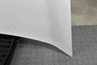 Capot RENAULT KANGOO 2