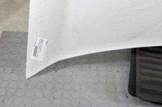 Capot RENAULT KANGOO 2