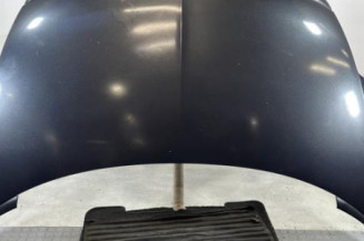 Capot CITROEN C8 Photo n°1