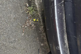 Malle/Hayon arriere CITROEN C8