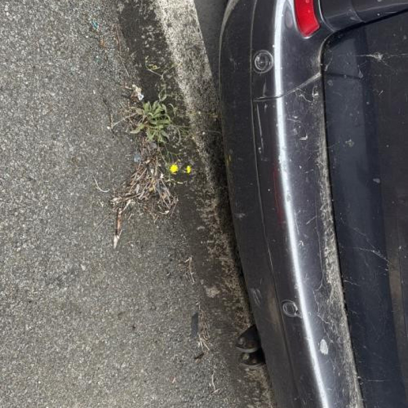 Malle/Hayon arriere CITROEN C8 Photo n°20