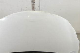 Capot SUZUKI ALTO 3 Photo n°1