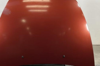 Capot VOLVO C 30 Photo n°1