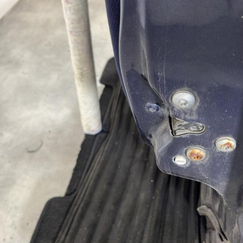 Porte arriere droit FIAT MULTIPLA Photo n°3