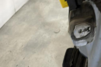 Porte arriere gauche RENAULT ESPACE 4