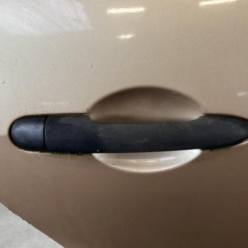 Porte arriere droit RENAULT MODUS Photo n°2