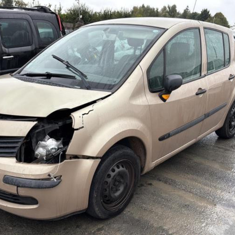 Porte arriere droit RENAULT MODUS Photo n°11