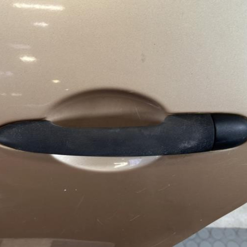 Porte arriere gauche RENAULT MODUS Photo n°2