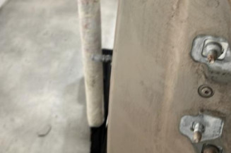 Porte arriere gauche RENAULT MODUS