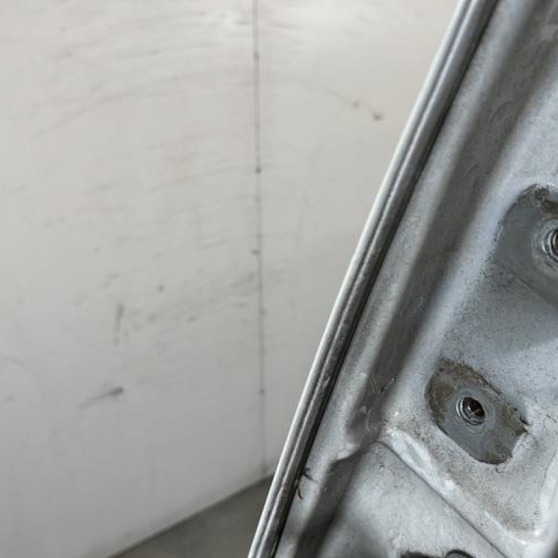 Porte avant droit OPEL VIVARO 1 Photo n°4