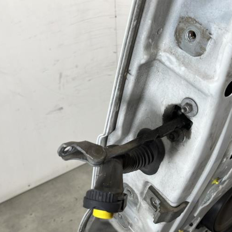 Porte avant droit OPEL VIVARO 1 Photo n°5