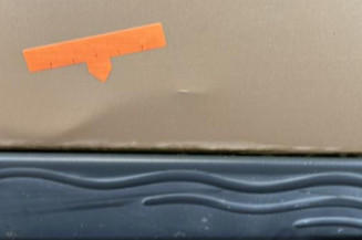 Porte avant droit RENAULT MODUS