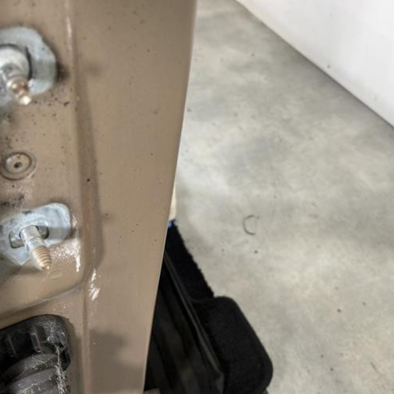 Porte avant droit RENAULT MODUS Photo n°6