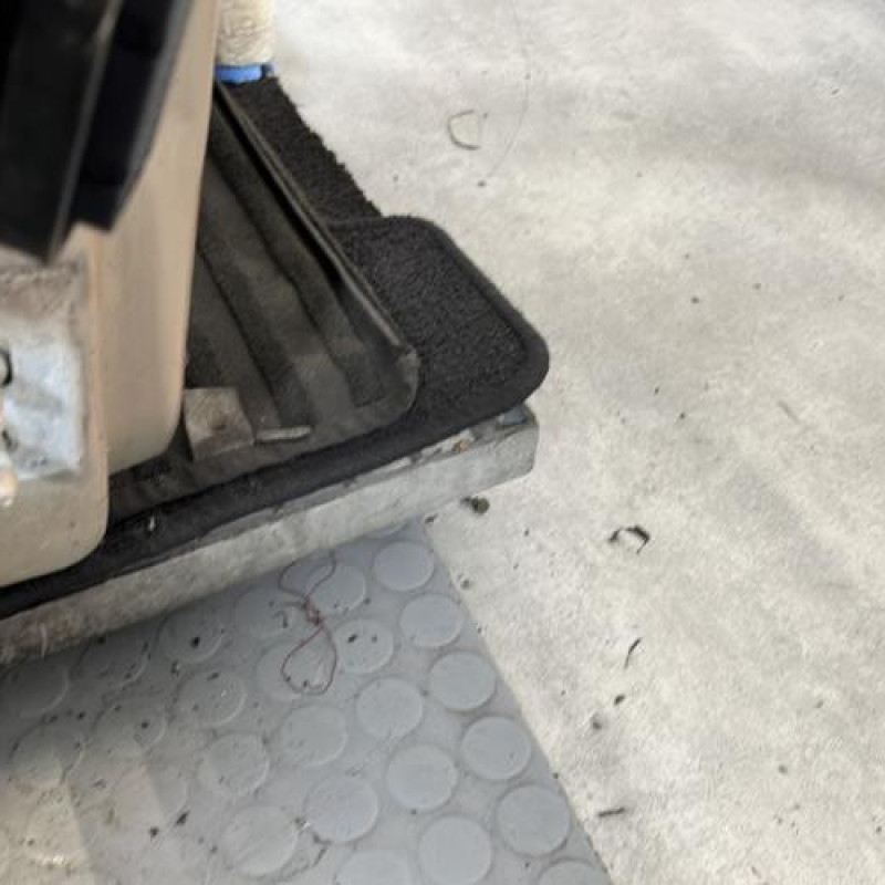 Porte avant droit RENAULT MODUS Photo n°7