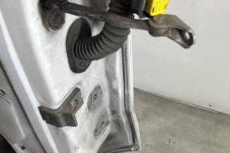 Porte avant gauche OPEL VIVARO 1