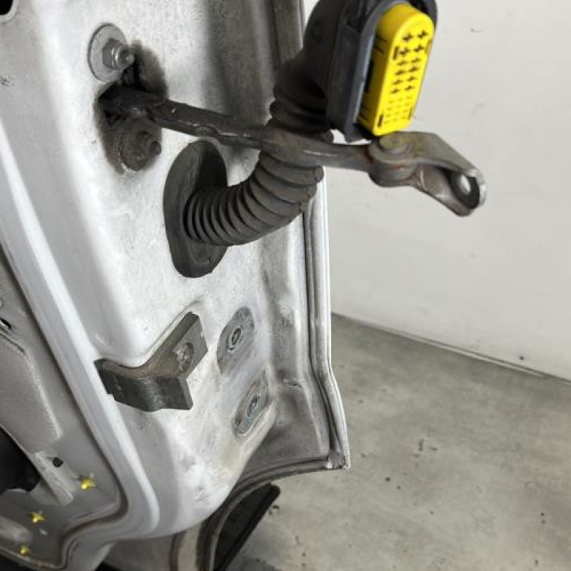 Porte avant gauche OPEL VIVARO 1 Photo n°5