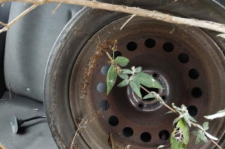 Serrure avant gauche CITROEN C4 1