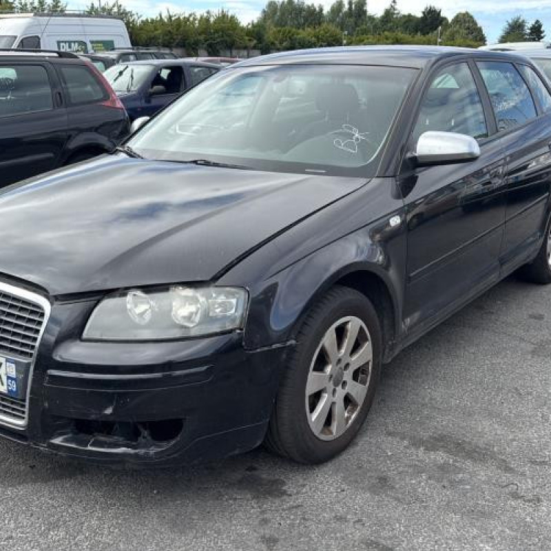 Porte avant gauche AUDI A3 2 Photo n°6