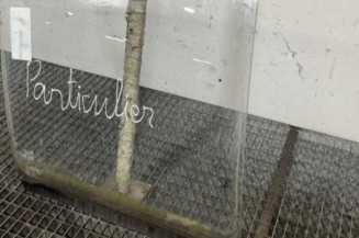 Vitre arriere droit RENAULT SUPER 5