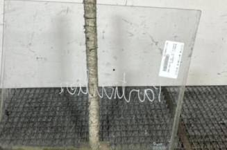 Vitre arriere droit RENAULT SUPER 5