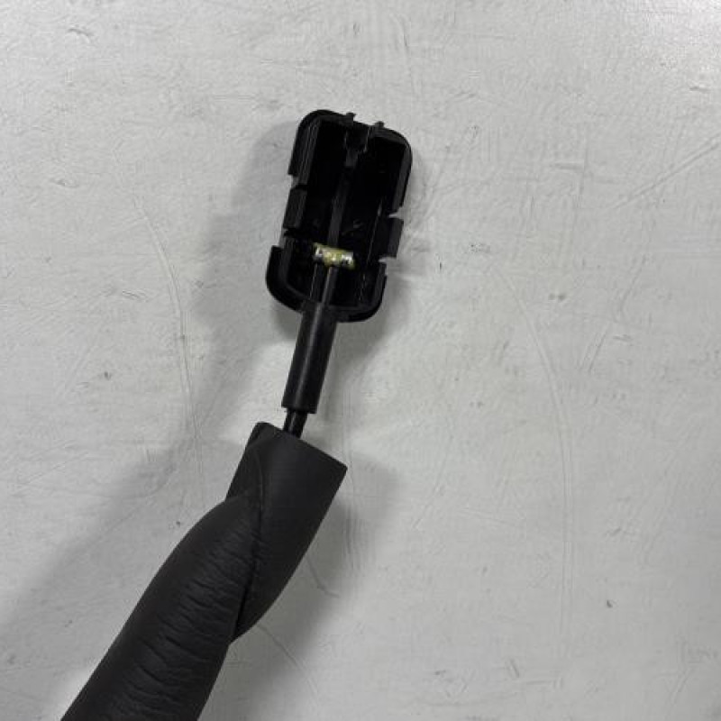 Serrure arriere gauche RENAULT LAGUNA 3 Photo n°5